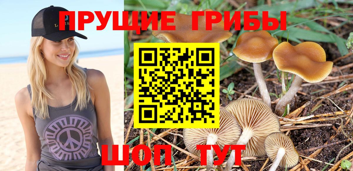 Галлюциногенные грибы Magic Shrooms Владикавказ