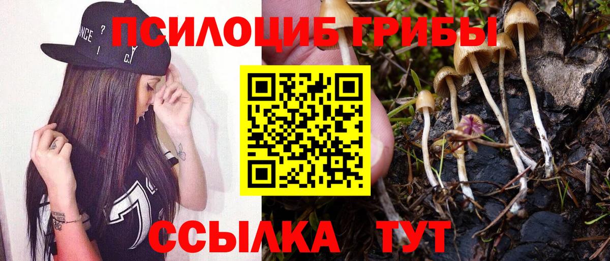 Владикавказ  Псилоцибиновые грибы GOLDEN TEACHER  Галлюциногенные грибы Psilocybe  Вход с VPN 